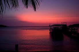 Hotel Coconut Tree West End Exterior foto